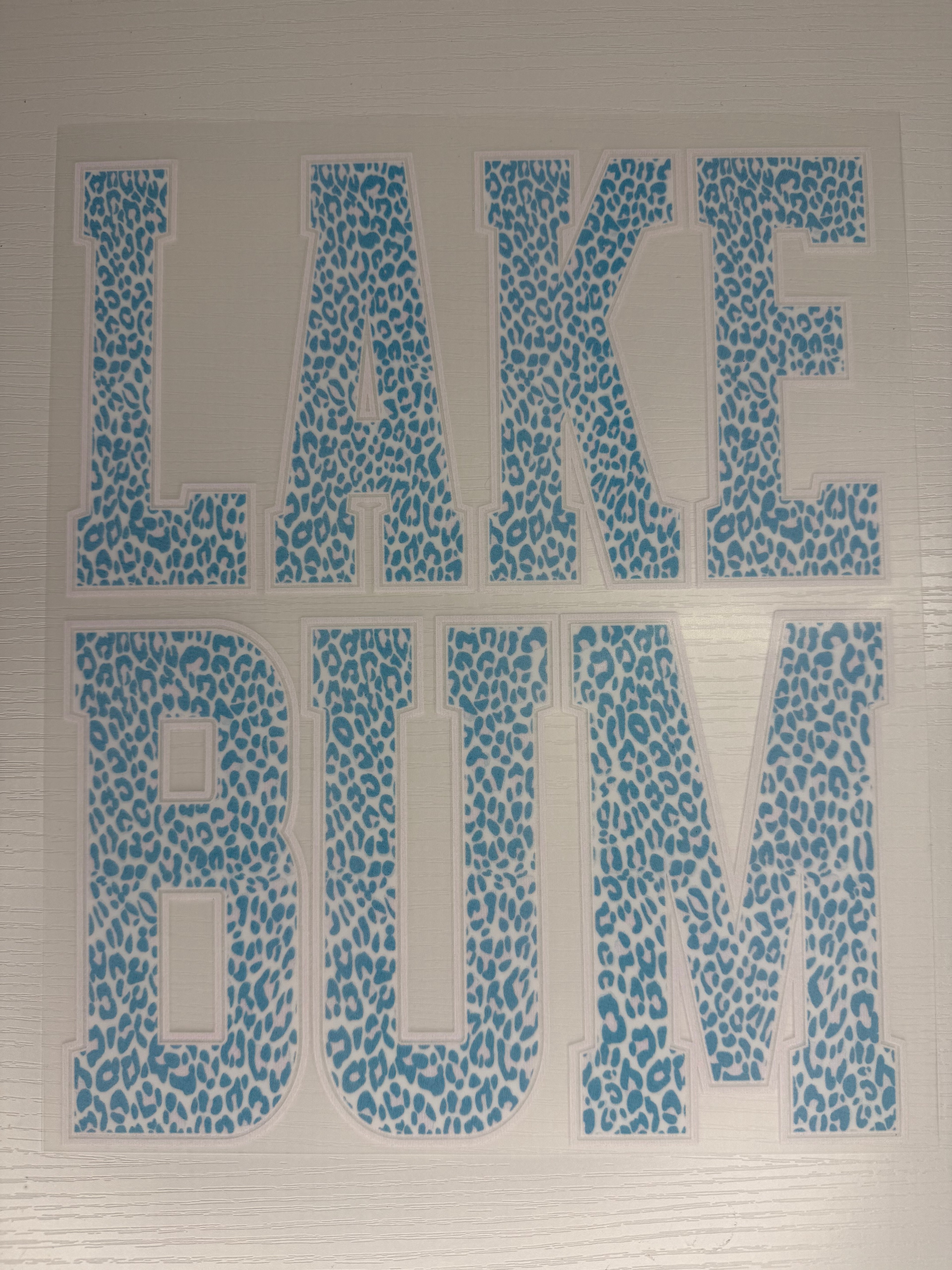 Cheetah lake bum transfer