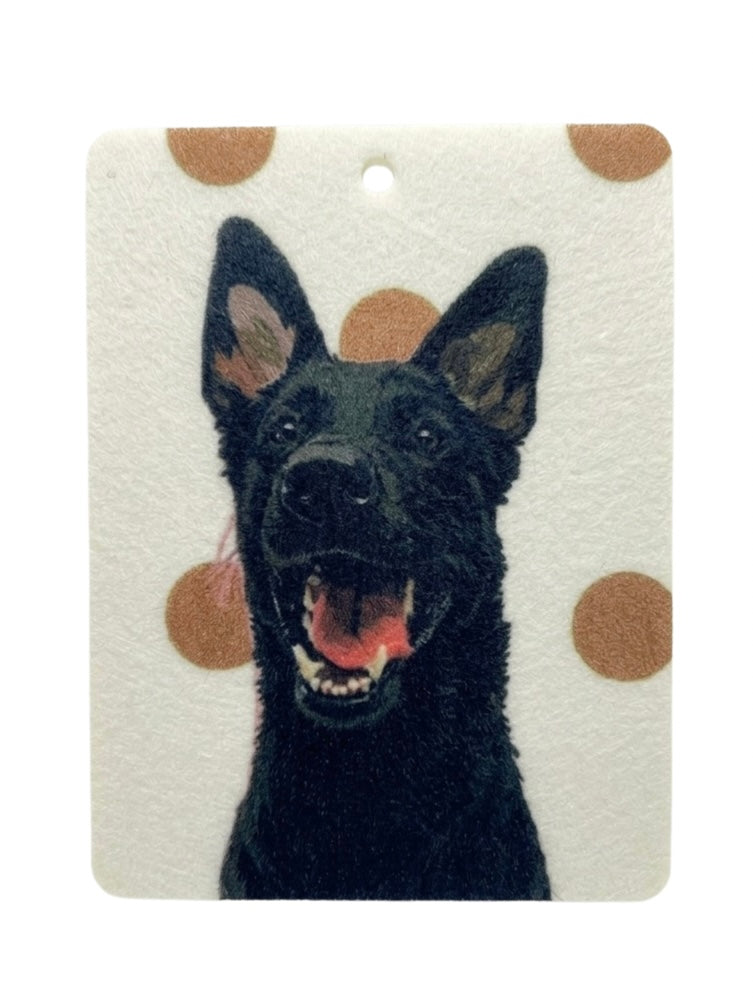 Black Husky Freshie