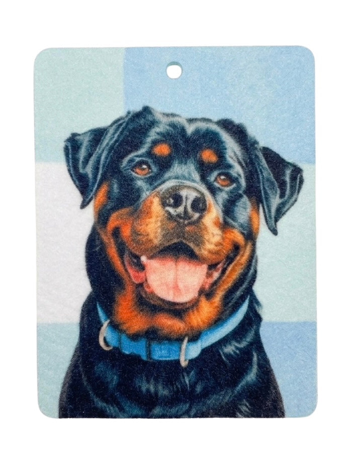 Rottweiler Freshie