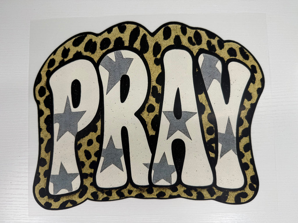 Cheetah pray transfer