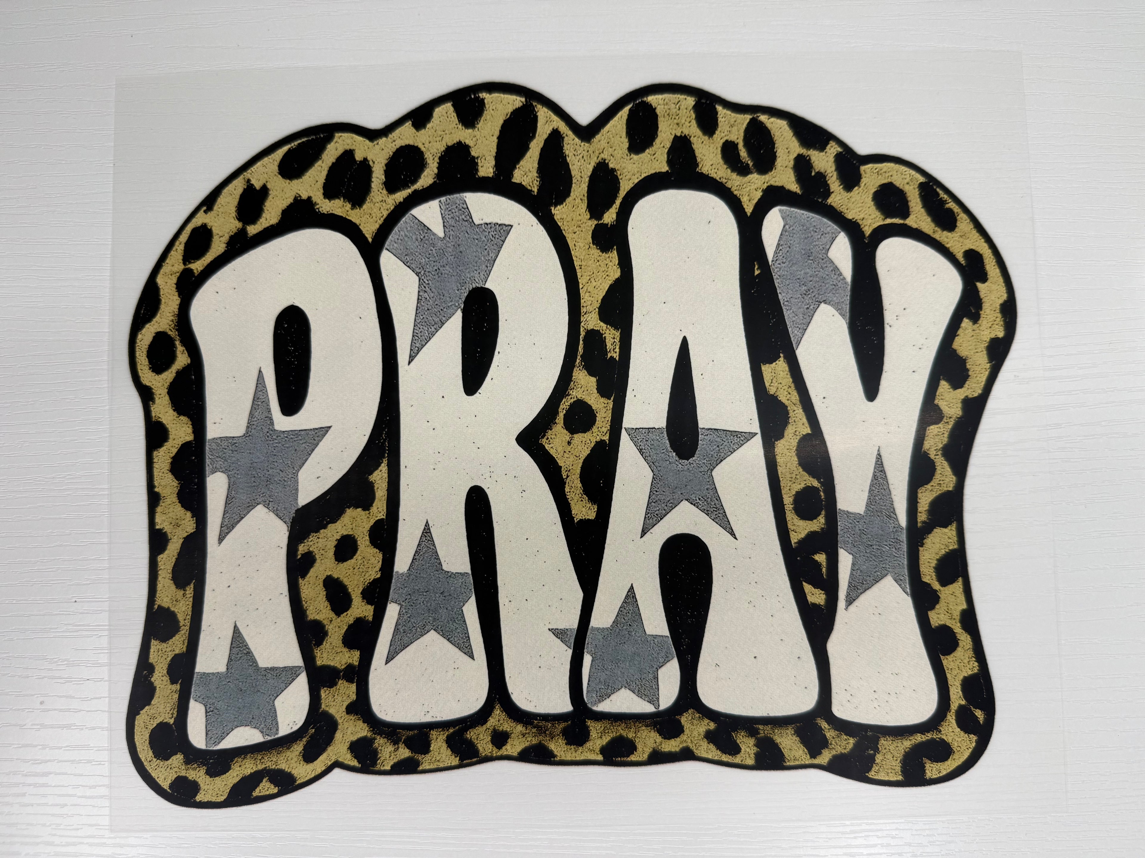 Cheetah pray transfer