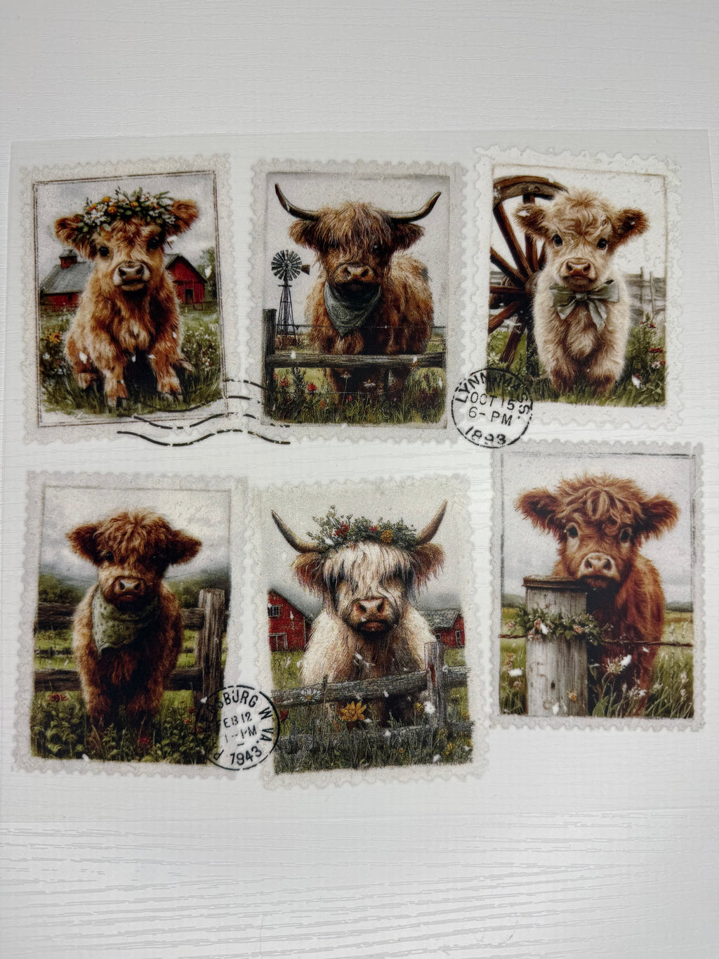 Highland Cows Transfer
