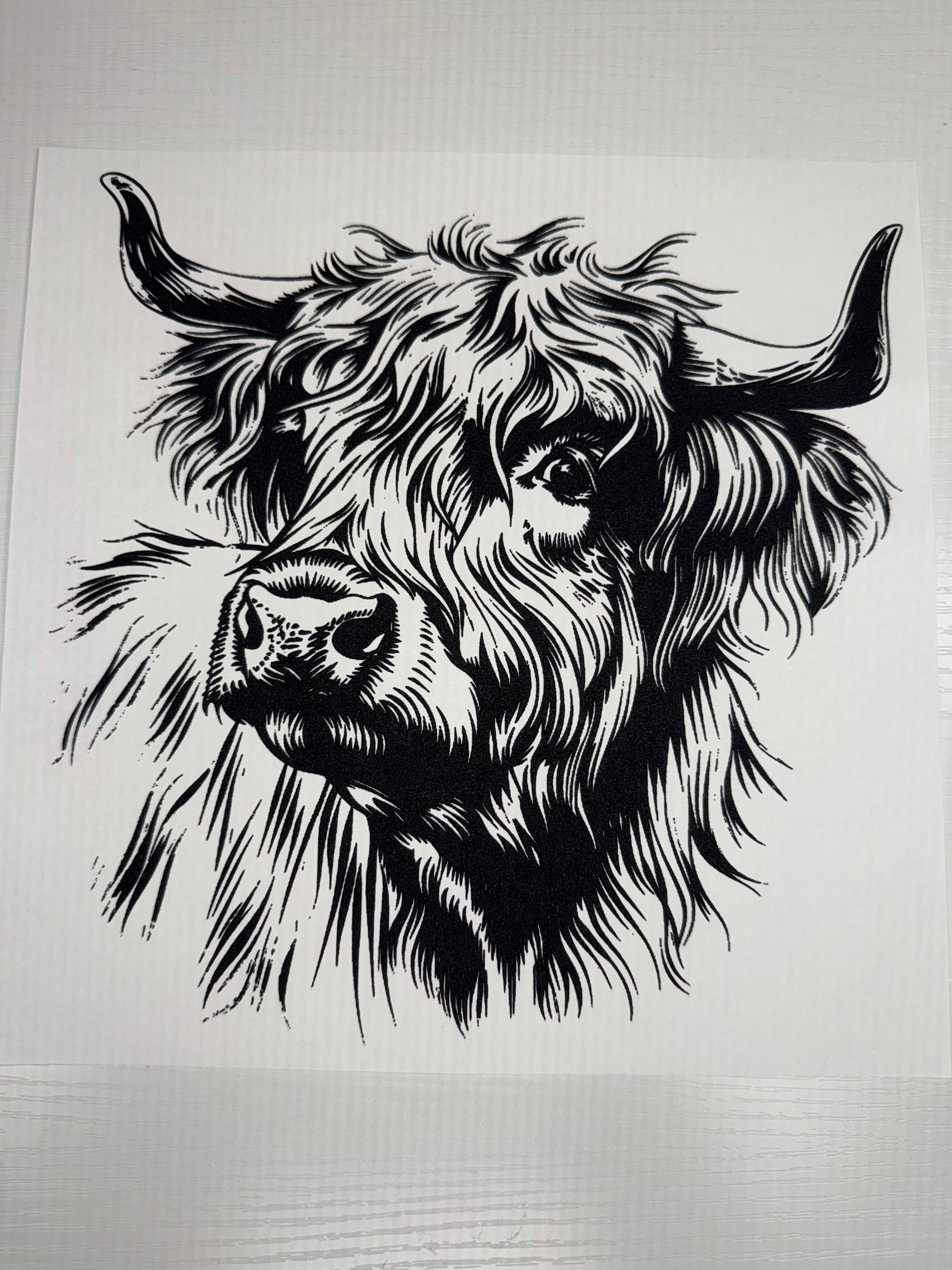 Cow Transfer￼