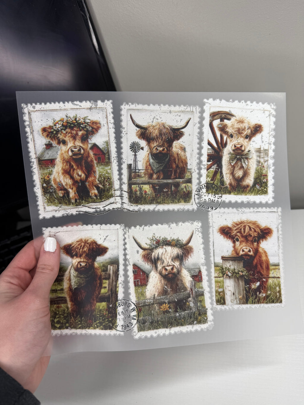 Highland Cows Transfer