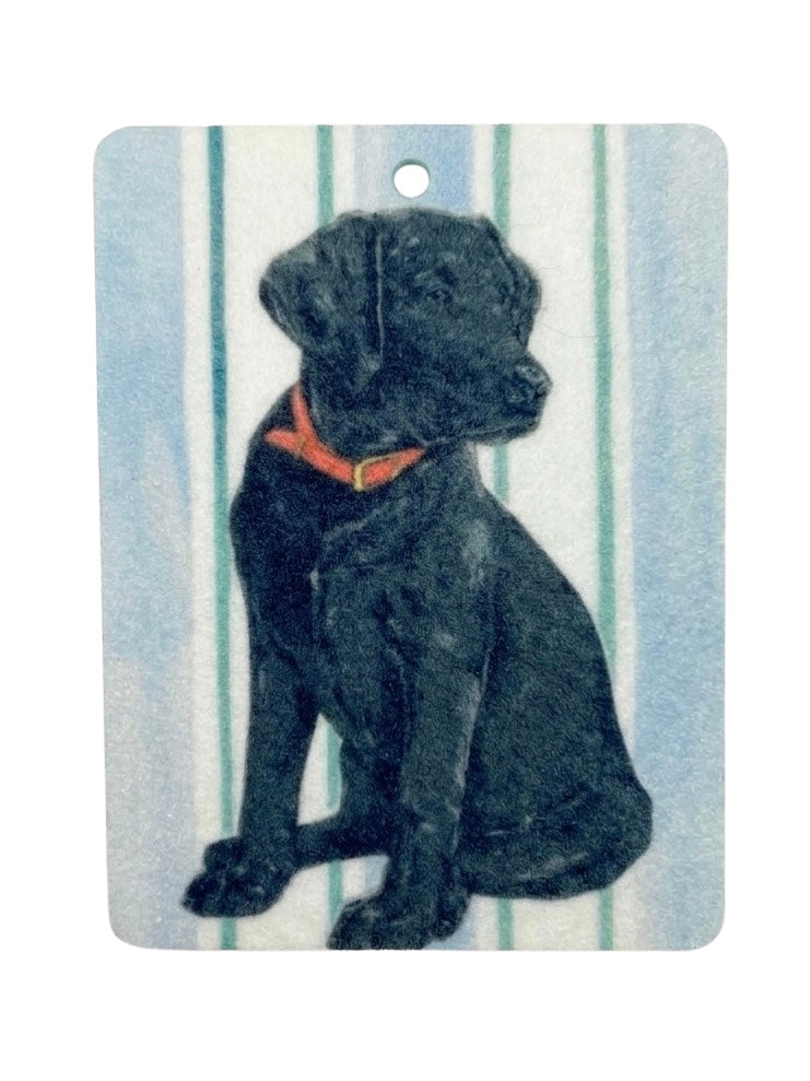 Lab Freshie
